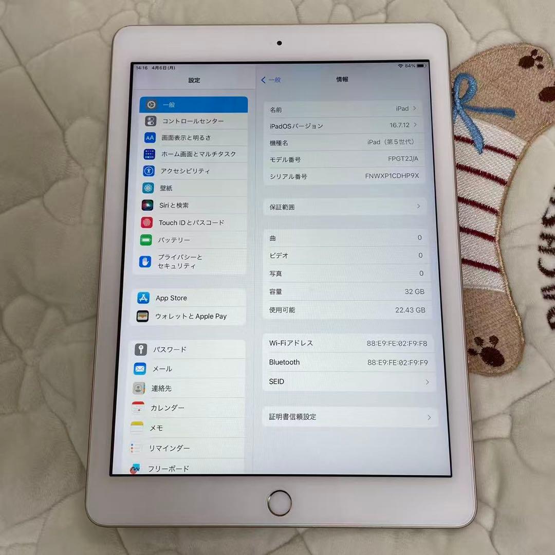 ipad 第5世代 9.7 inch大画面　32GB 大容量　中古品（本体のみ）