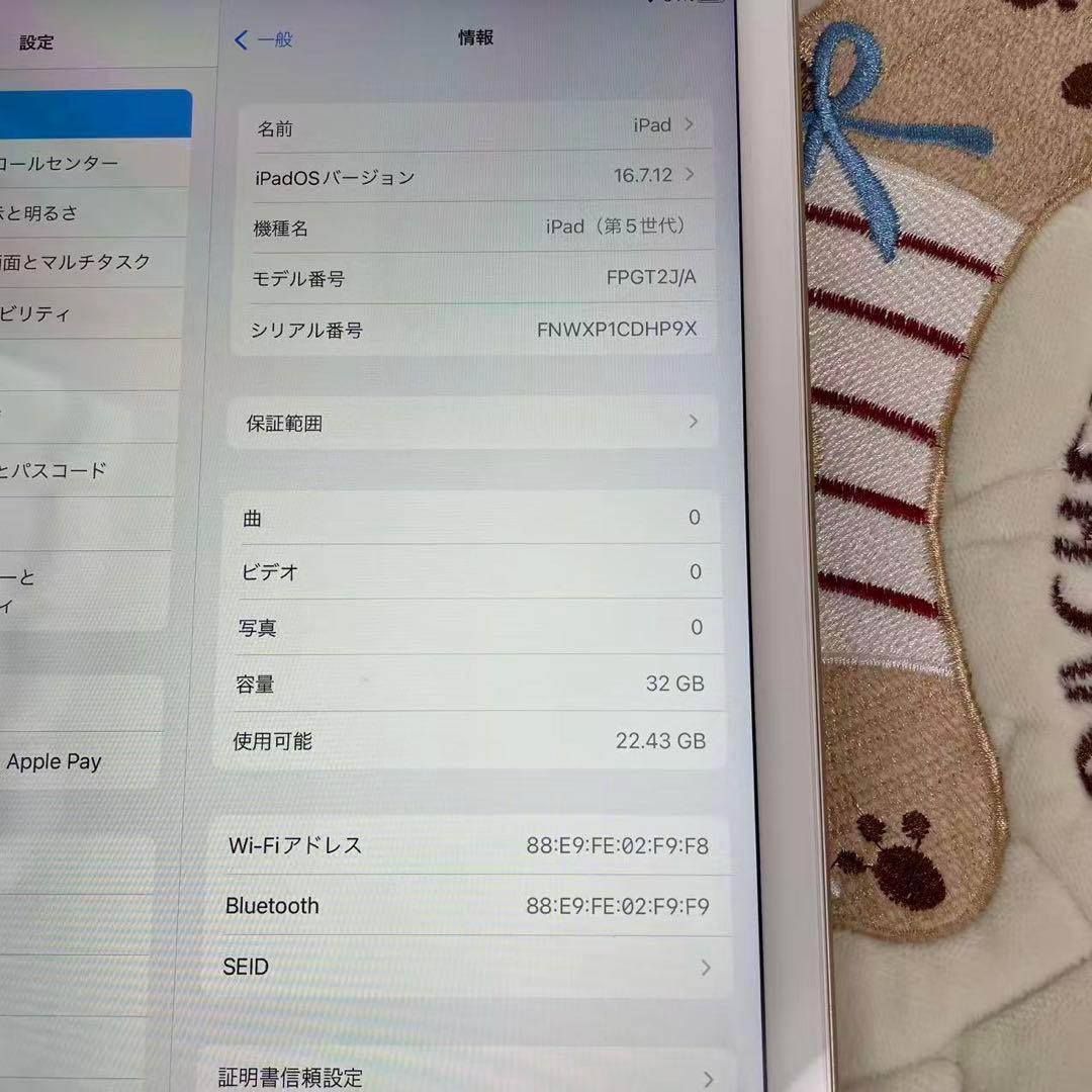ipad 第5世代 9.7 inch大画面　32GB 大容量　中古品（本体のみ）