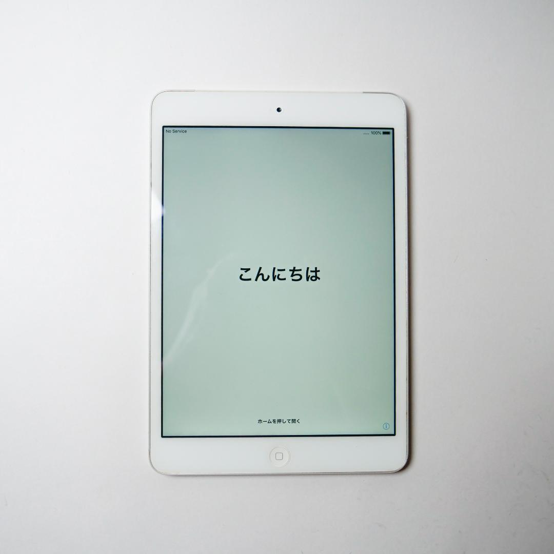 Apple iPad mini 2　64GB　KDDI SIM対応　本体極美品