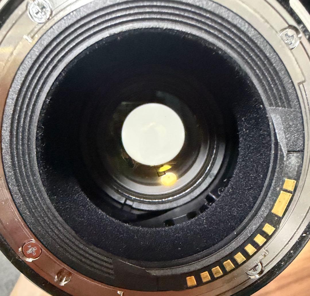 Canon EOS 5D MARK4レンズセット