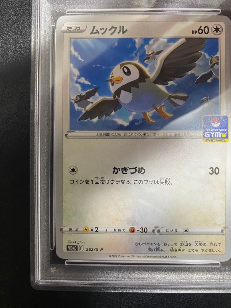 ムックル ジムプロモ PSA10 ポケモンカード　世界で7枚