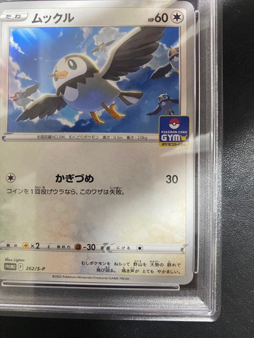 ムックル ジムプロモ PSA10 ポケモンカード　世界で7枚