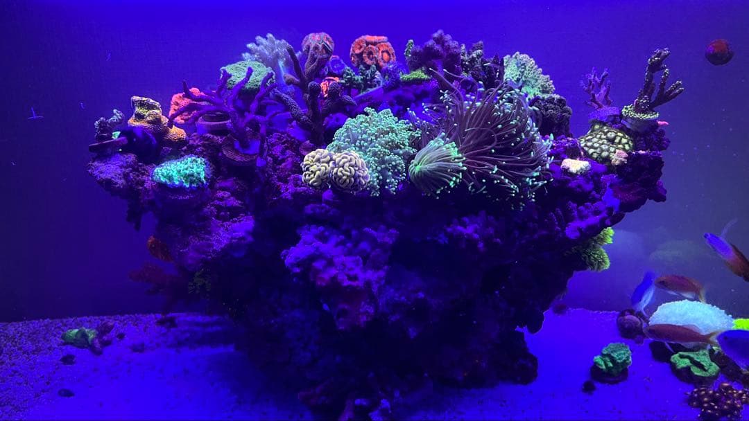 【ジャンク】MICMOL Air PRO900 ミクモル 水槽用LED サンゴ