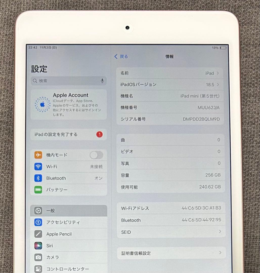 iPad mini 第5世代 256GB Wi-Fiモデル ローズ