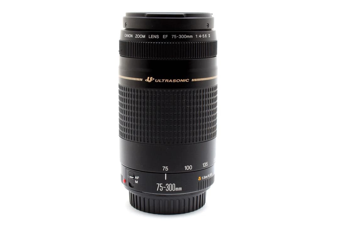 キヤノン Canon EF 75-300mm F4-5.6 Ⅱ USM