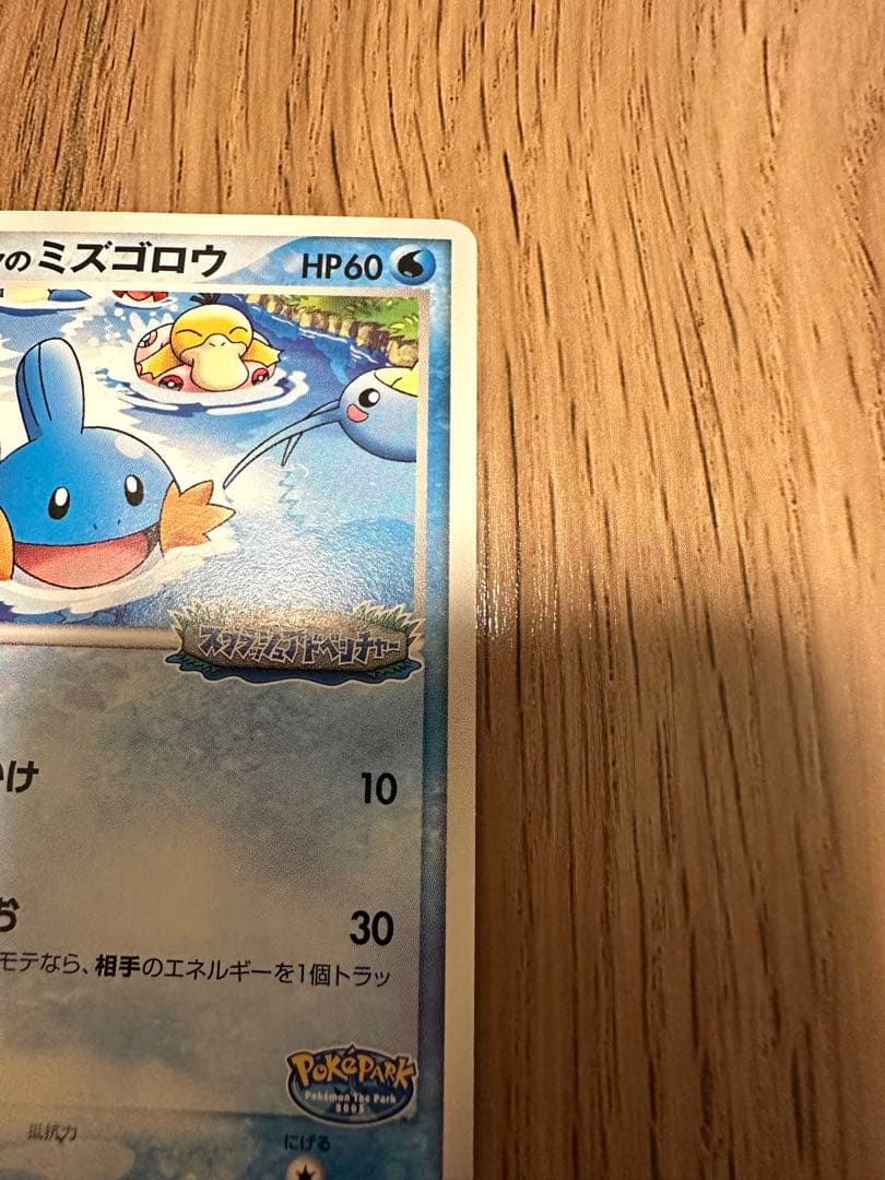 ポケパーク ミズゴロウ ポケモンカード