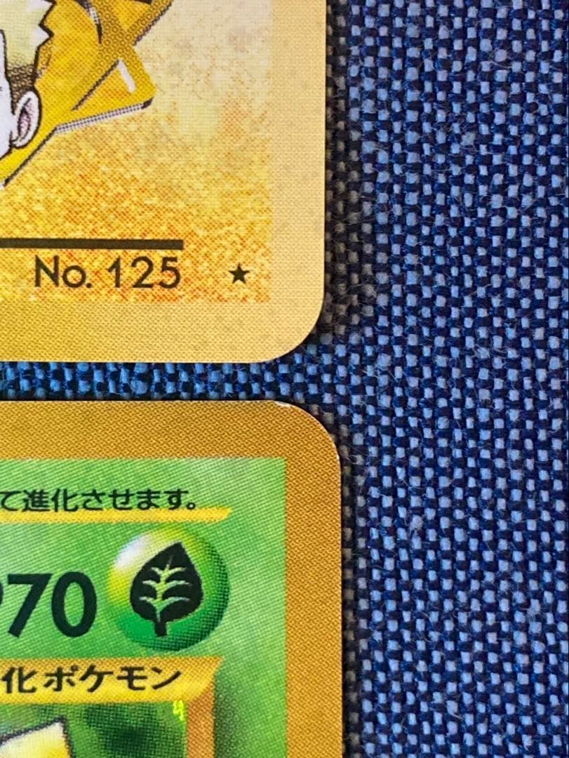 【良品〜美品】マチスのエレブー　マチスのレアコイル　ワタッコ　キレイハナ