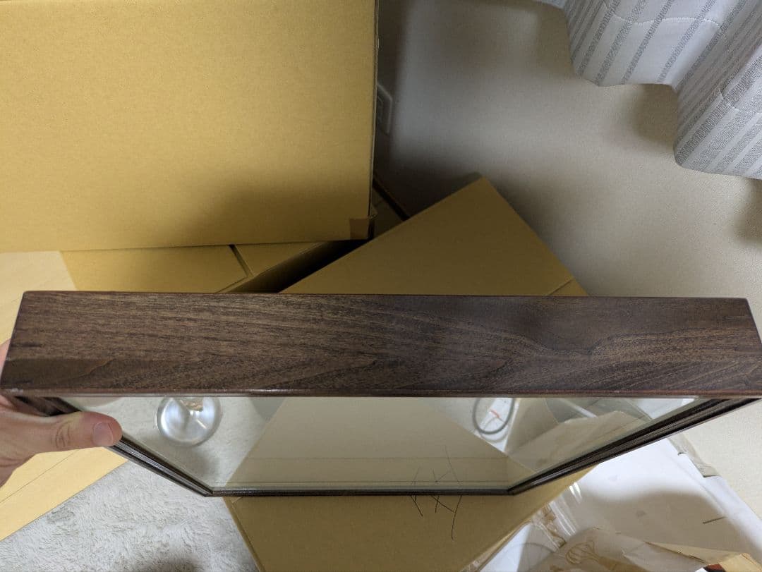 昆虫標本　蝶標本　標本　ドイツ箱　標本箱