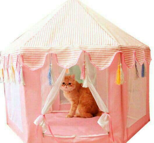 新型夏のペットの猫の分娩室のテント日本の大中小犬小屋素敵な家