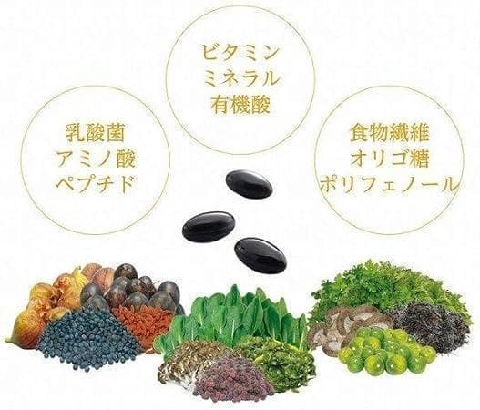 2箱 OM－X 12plus 3年 発酵生発酵エキス含有60粒