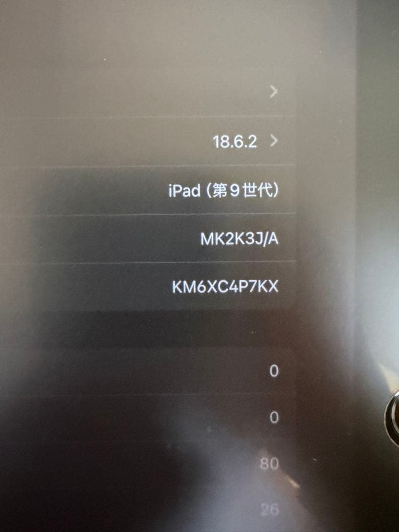 Apple iPad 本体 充電器付き