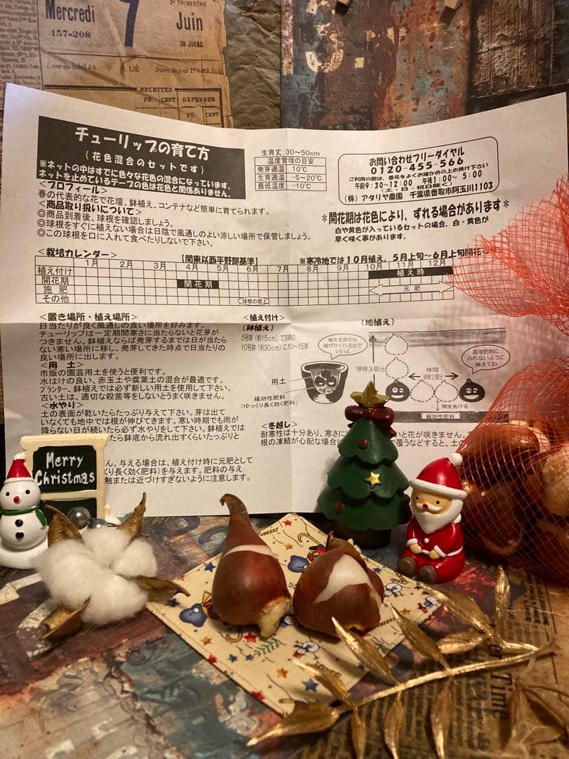 手作りミニリース　ターコイズカラー　ハンドメイド　チューリップ球根2ヶプレゼント