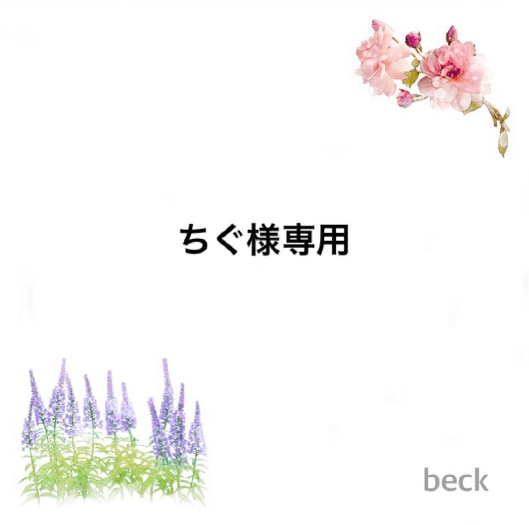 ちぐ⭐︎レッスンバッグ等3点⭐︎男の子ハンドメイド