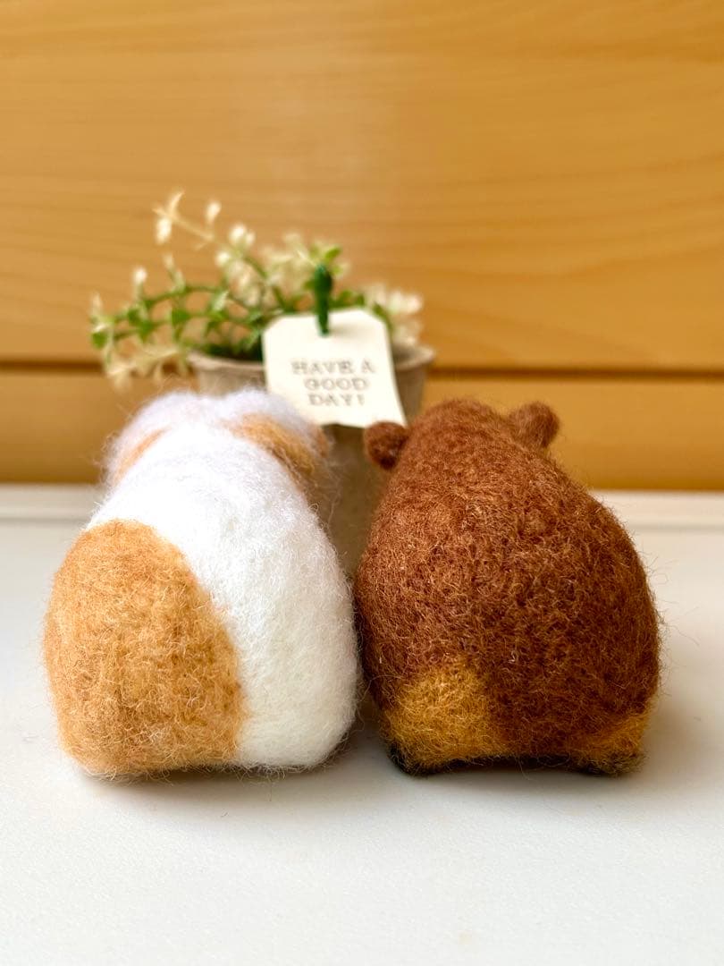 ゆずゆずゆずる♪モルモットちゃん 羊毛フェルト ハンドメイド