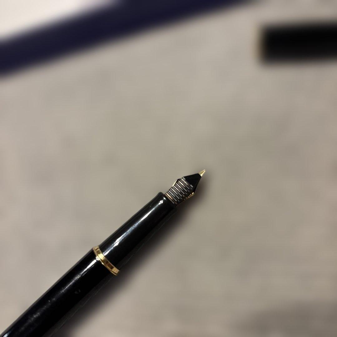 WATERMAN 万年筆 コンバーター付き