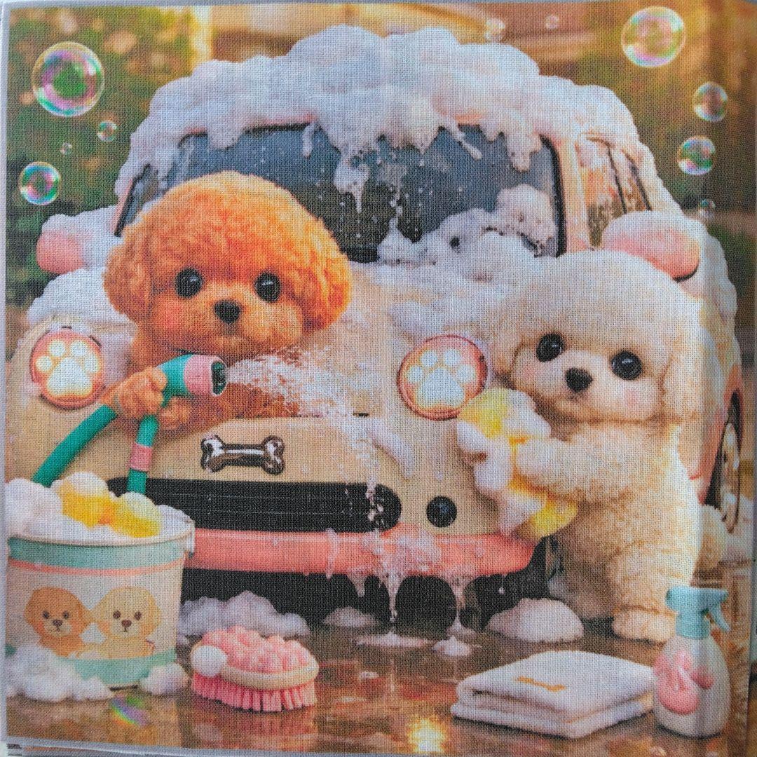 ☆受付☆トイプードル