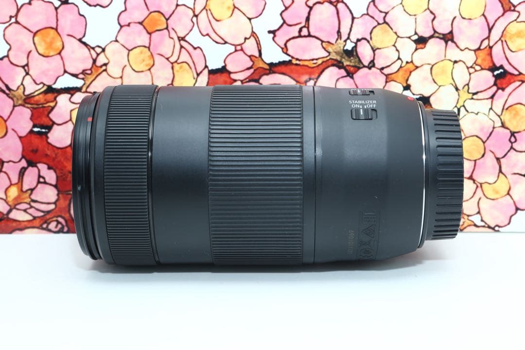❤定番の望遠レンズ❤キヤノン EF 70-300mm IS Ⅱ USM❤