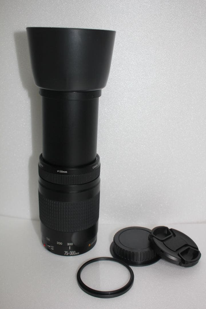 迫力の300㎜/キャノン望遠レンズ/Canon EF75-300 II
