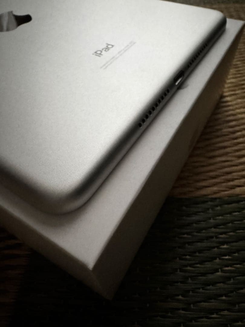 ほぼ未使用　Apple iPad mini 64GB 第5世代　シルバー 本体
