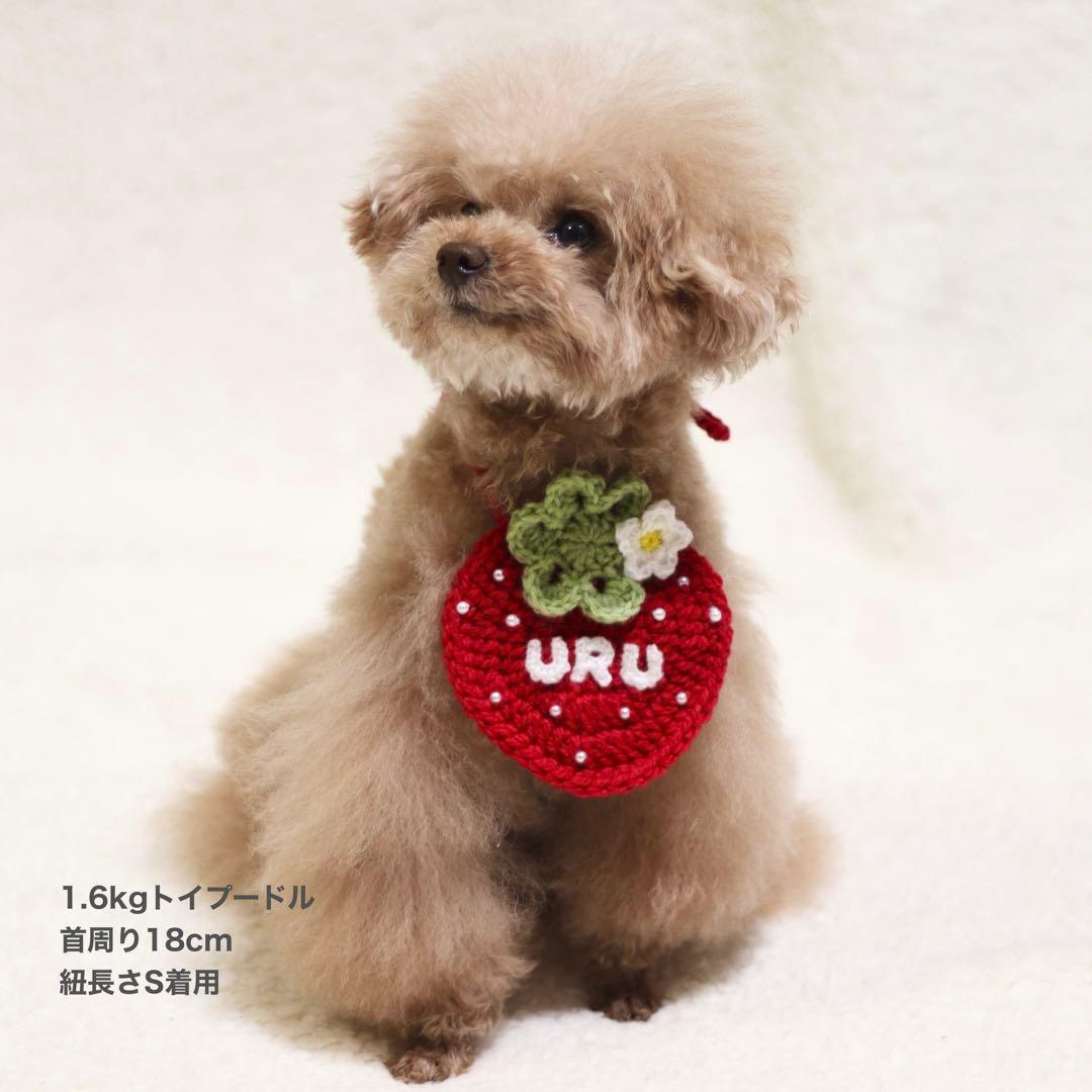 犬用猫用　いちごビブ
