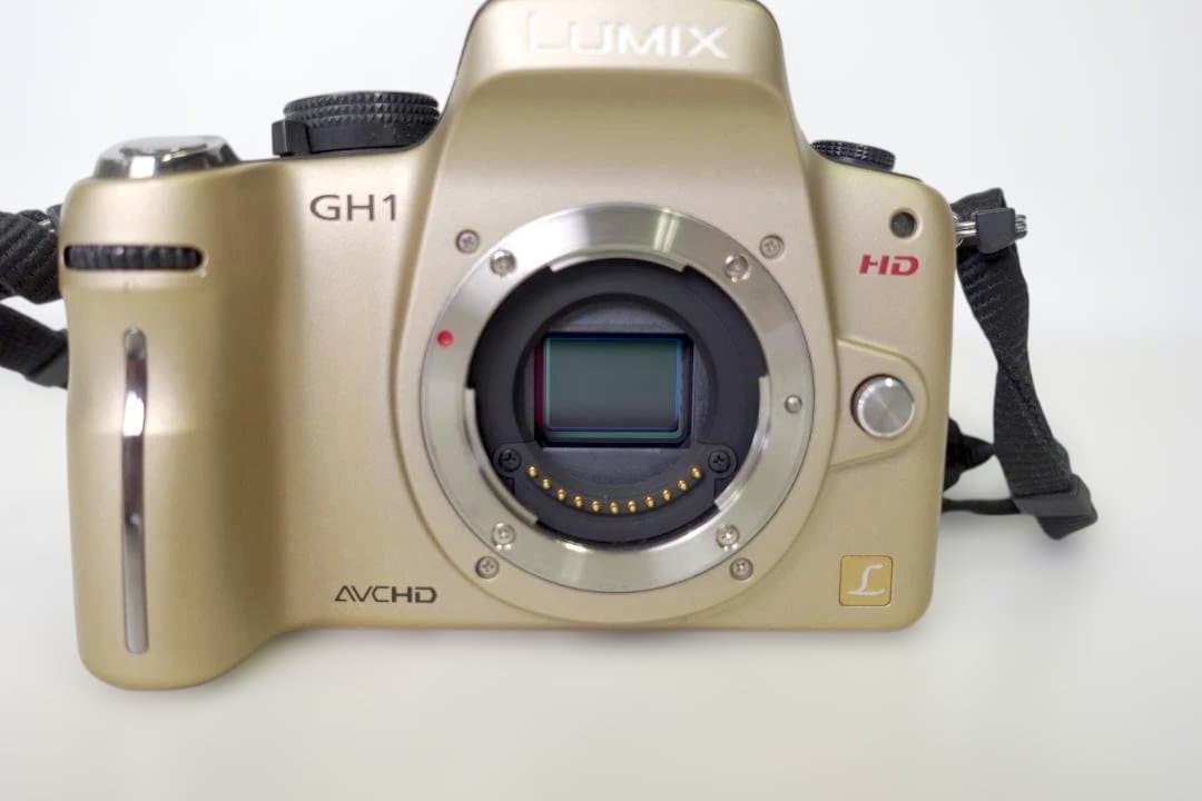 LUMIX DMC-GH1 ゴールドボディ（純正バッテリー2個付・充電器付）