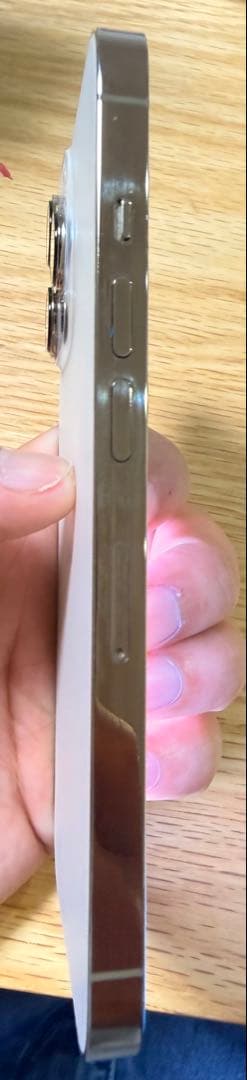 スマートパンダさま専用iPhone13pro ゴールド128GB ジャンク