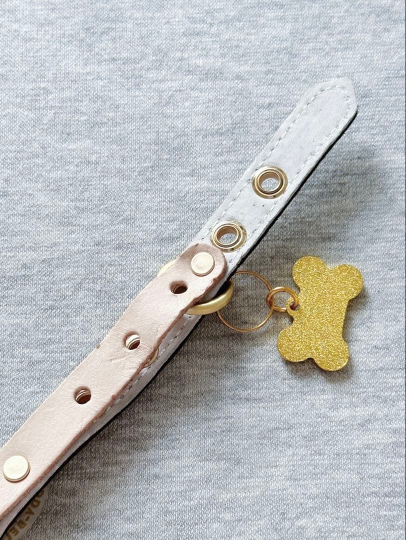 海外限定 Buddy belts バディーベルト セージ SAGE 2.5
