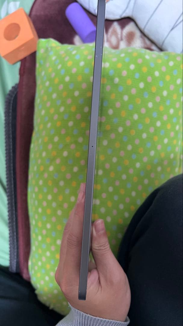 Ipad Pro 11 inch(第2世代) 256gb