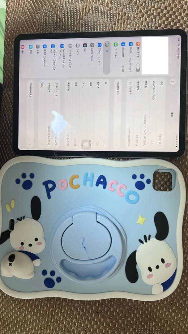 Ipad Pro 11 inch(第2世代) 256gb