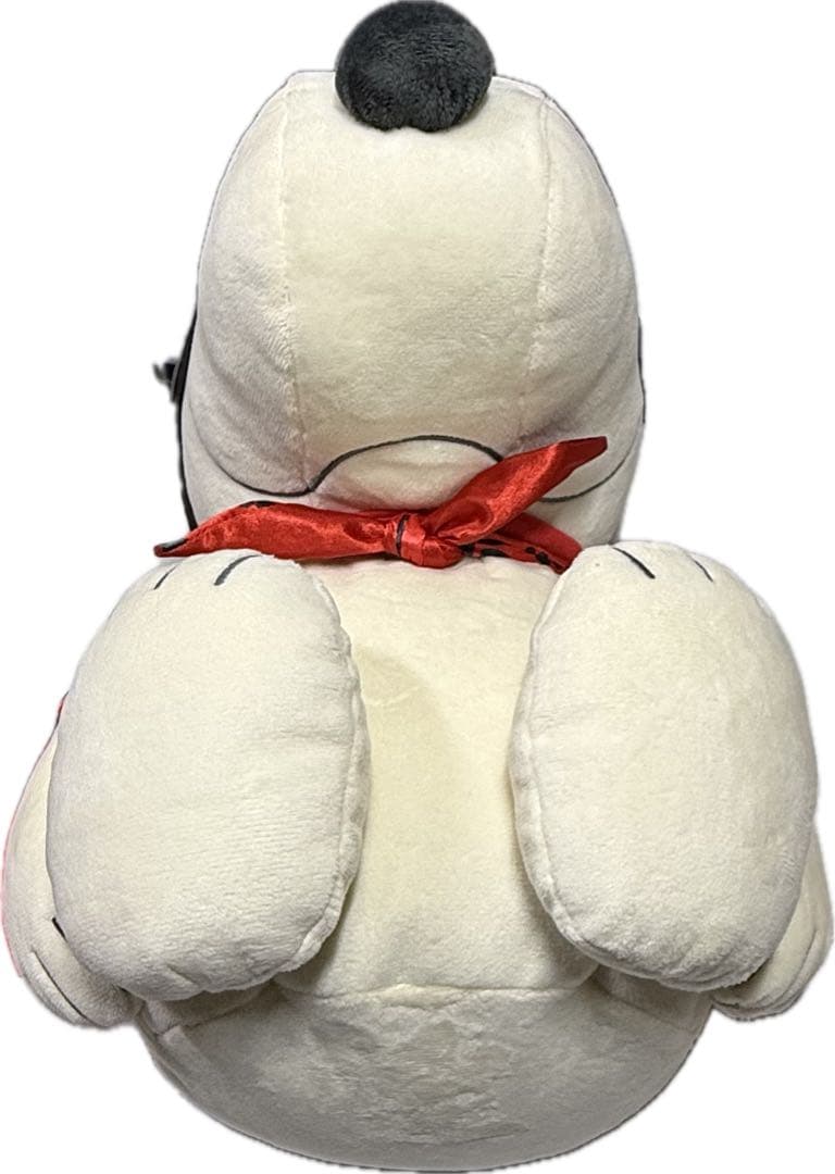 ミズノ 【PEANUTS】スヌーピー メディシンボール レッド 2kg