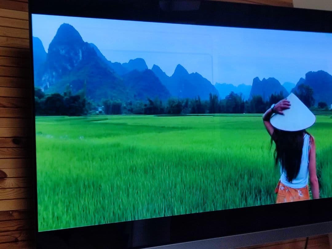 東芝レグザ　55型 4K有機ELテレビ　 タイムシフトマシン搭載