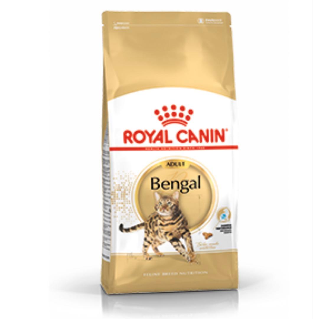  CANIN Bengal ドライフード2kg×2