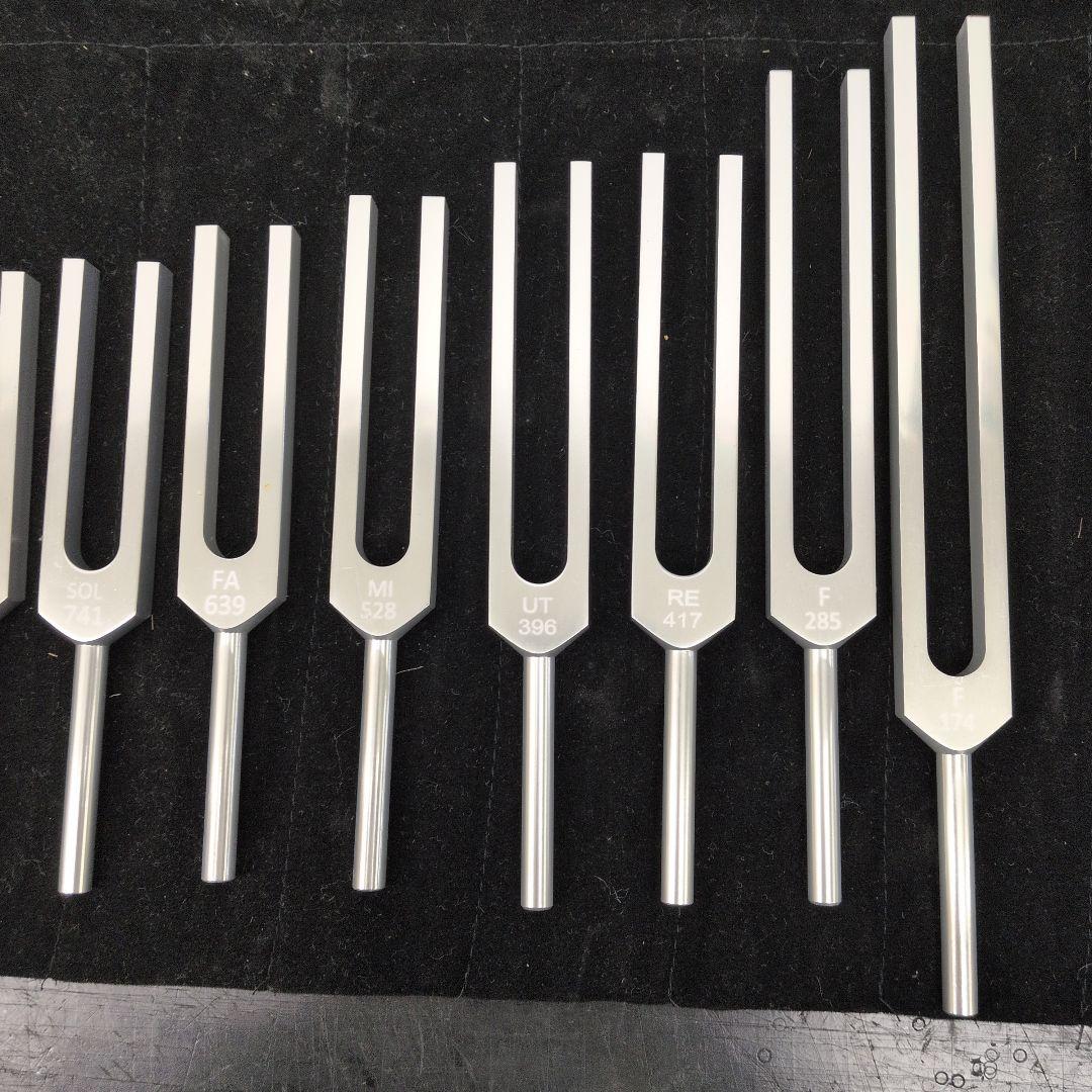 音叉　期間限定　臓器セット1+2セット