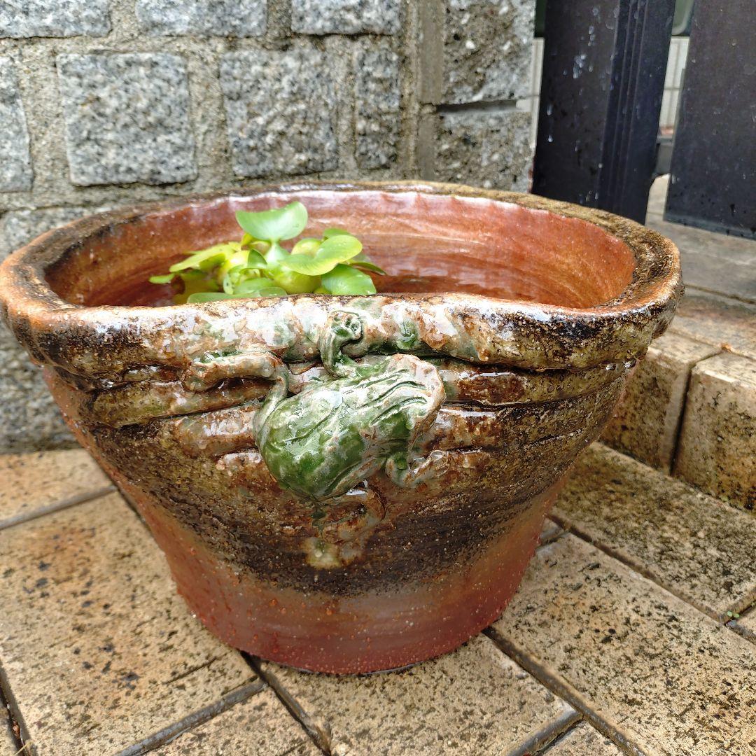 信楽焼　手作りメダカ鉢　睡蓮鉢　蛙付きめだか鉢