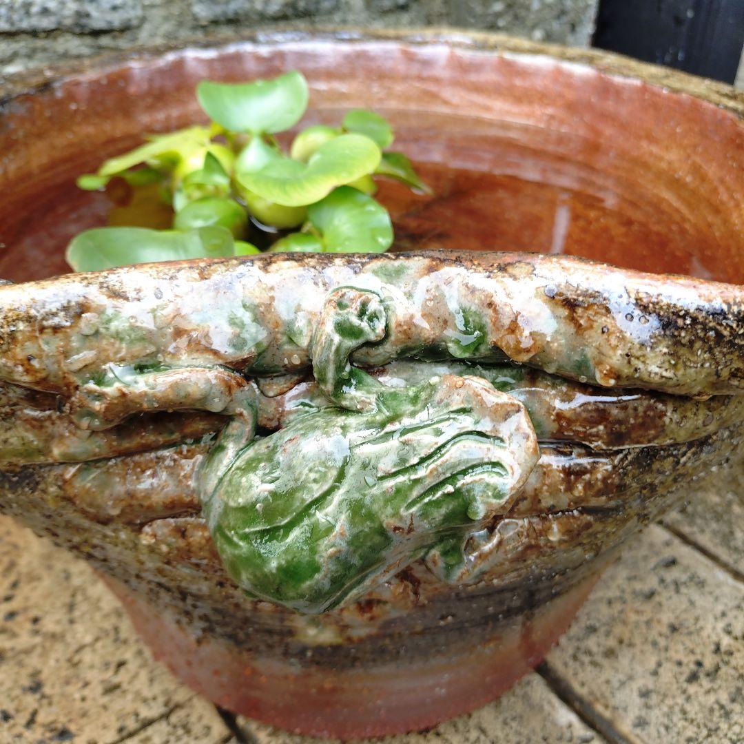 信楽焼　手作りメダカ鉢　睡蓮鉢　蛙付きめだか鉢