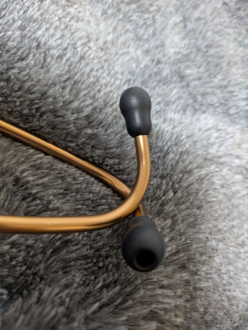 最終値下げ3M Littmann Classic III ステート チョコレート