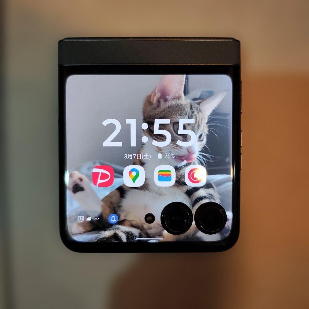 Motorola razr 50 コアラグレイ【液漏れ有】【外側美品】目黒蓮CM