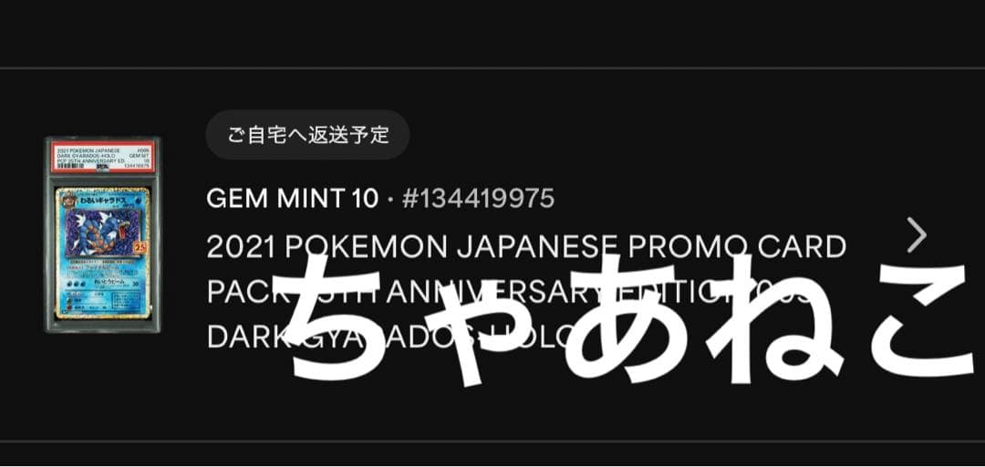 PSA10＊わるいギャラドス 25th プロモ 25周年 Gyarados