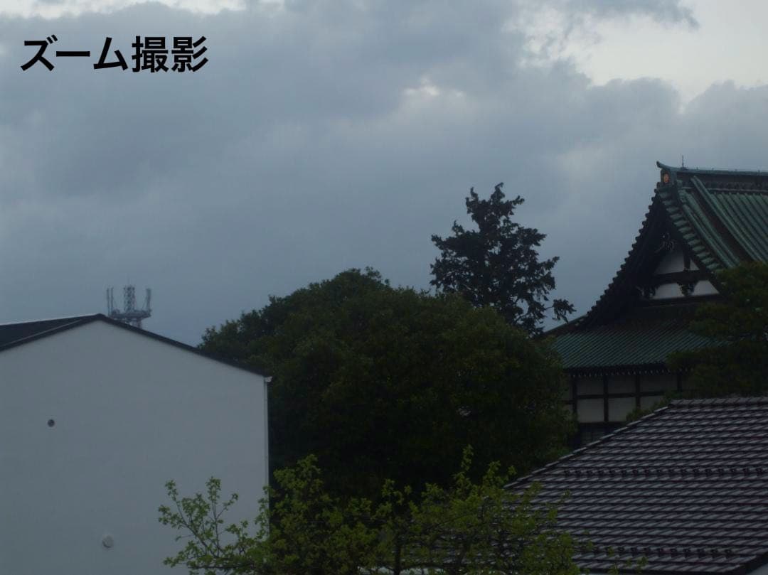 乾電池式/実写美⭕️【動作確認済み】FUJIFILM FinePix A900