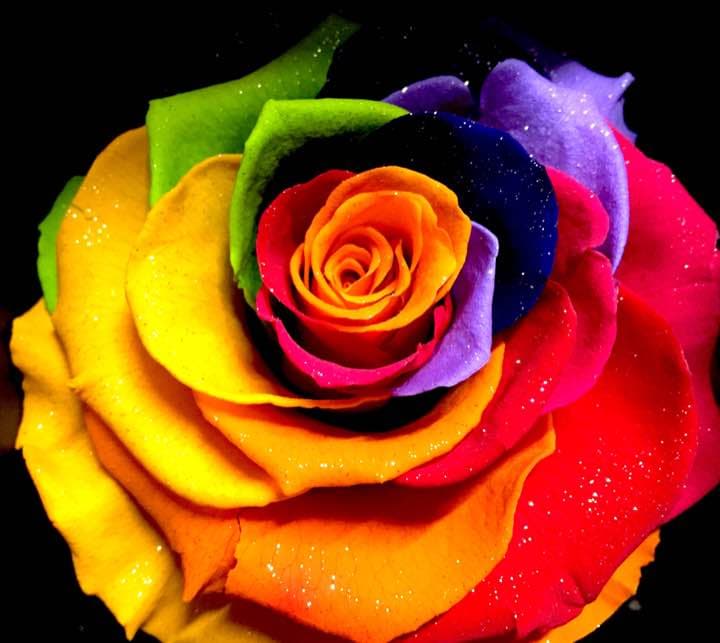 虹色の薔薇 レインボーローズ プリザーブドフラワー プレゼントに喜ばれるお花