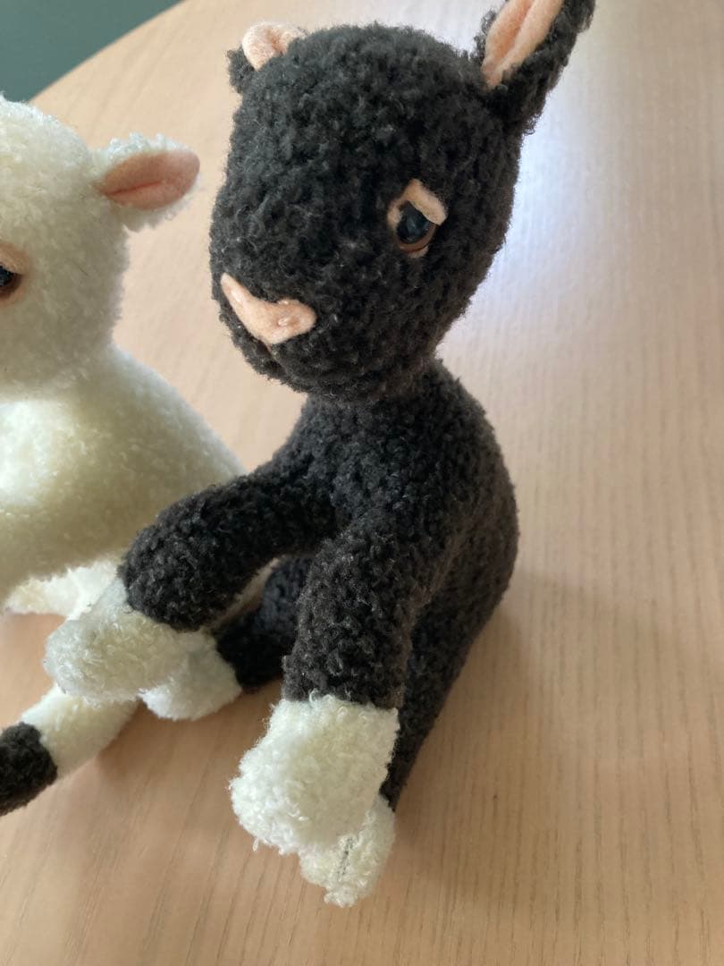 Frederic フレデリック　セット