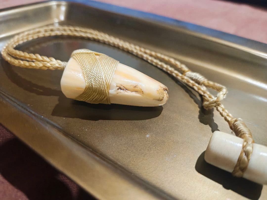 ボーンカービング　鯨　歯　骨　ネックレス　セット　1点物