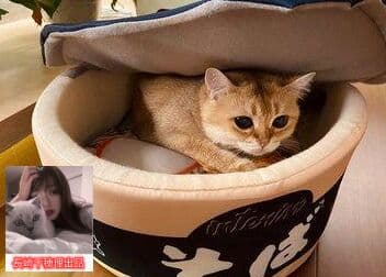 泡麺犬窩柴犬網紅と同じ種類の泡麺猫窩敷式うどんカップ麺INS風ペット7