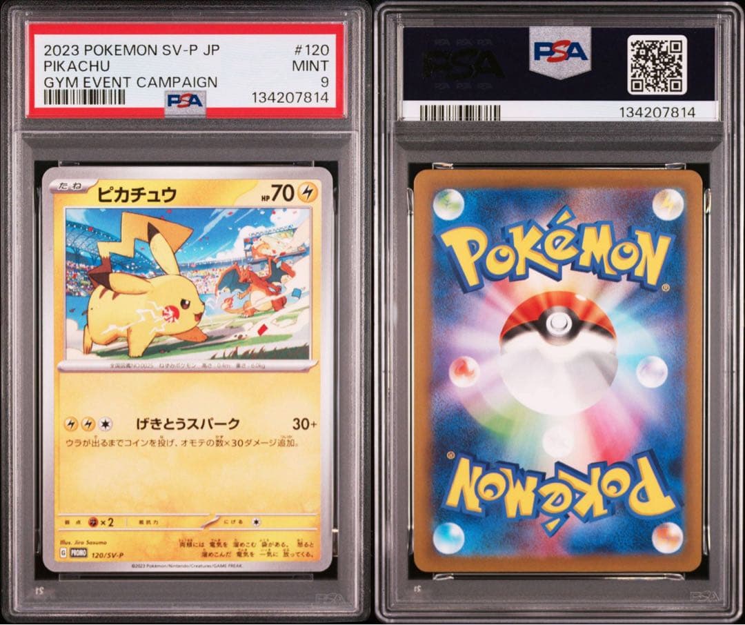 ピカチュウ　ジムイベント　リザードン　PSA8 9
