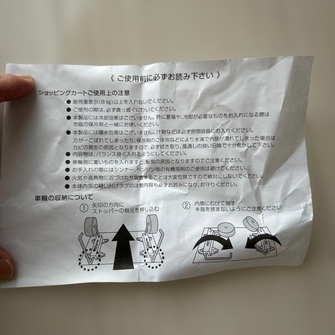 DEAN & DELUCA 黒 保冷カートバッグ