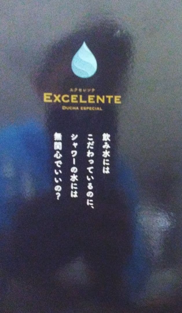 エクセレント Duchae special シャワーヘッド