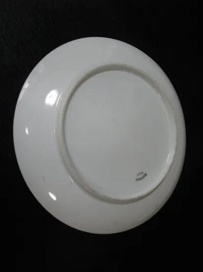 フランス Haviland アビランド リモージュ絵皿 ハンドペイント