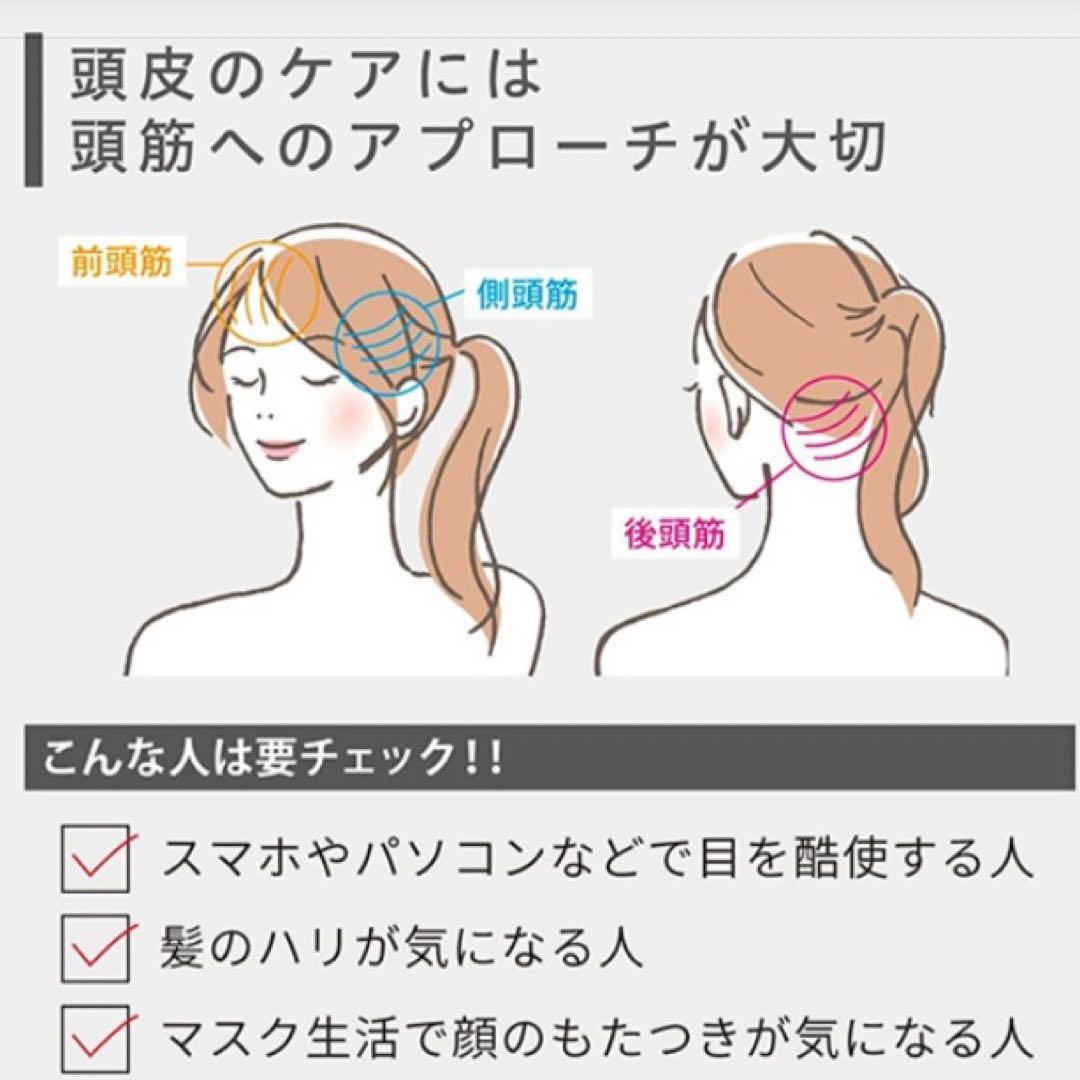 Bellcida デンキスカルプブラシ ブラック