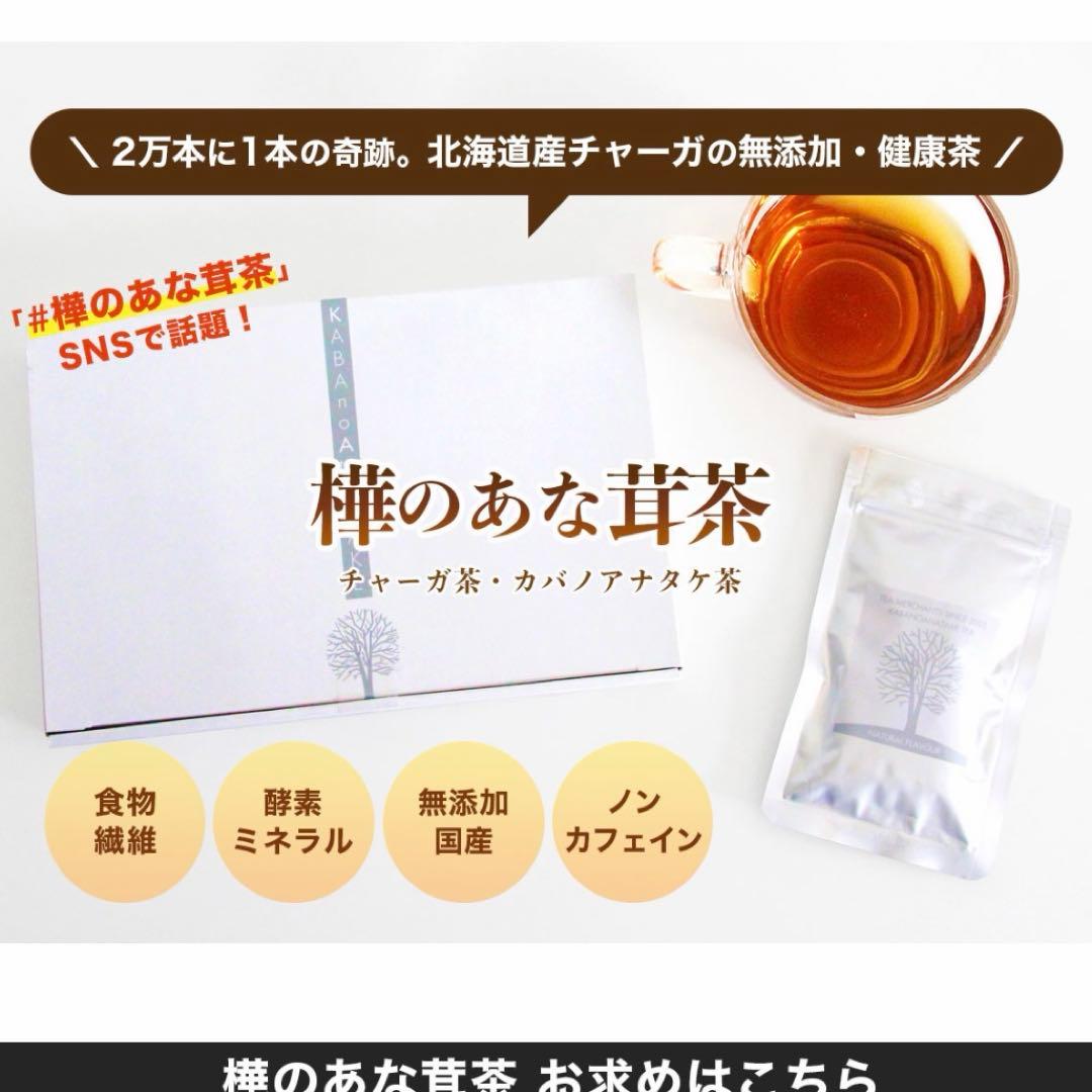 ① カバノアナタケ茶 1箱30包 チャーガ