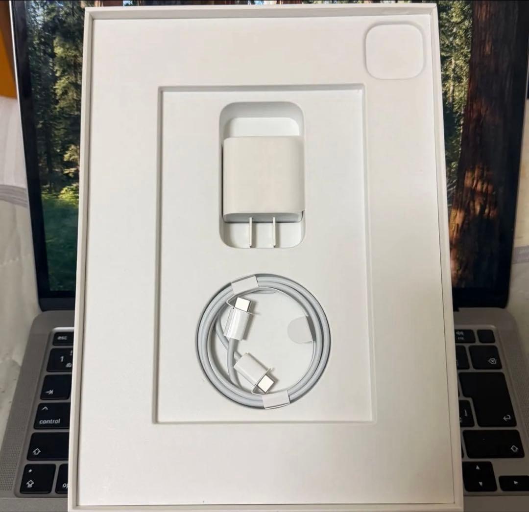 【美品】iPad Pro 11インチ 2021 wifiモデル　128GB
